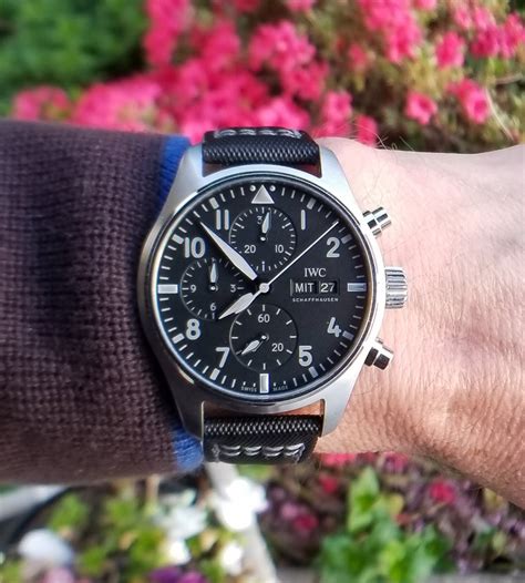 pilot watch on nato strap